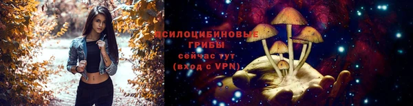 крисы Аркадак