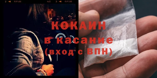 крисы Аркадак