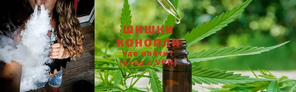 крисы Аркадак