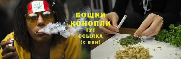крисы Аркадак