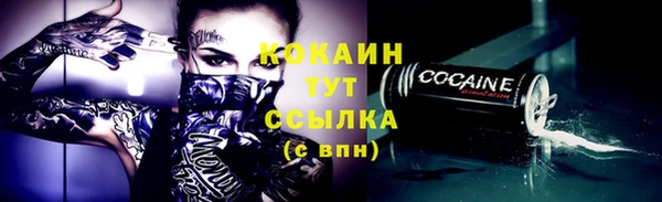 крисы Аркадак