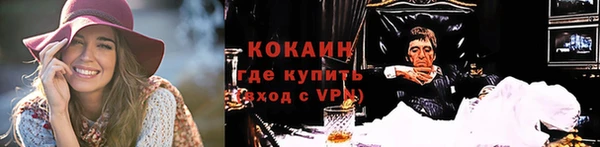 крисы Аркадак