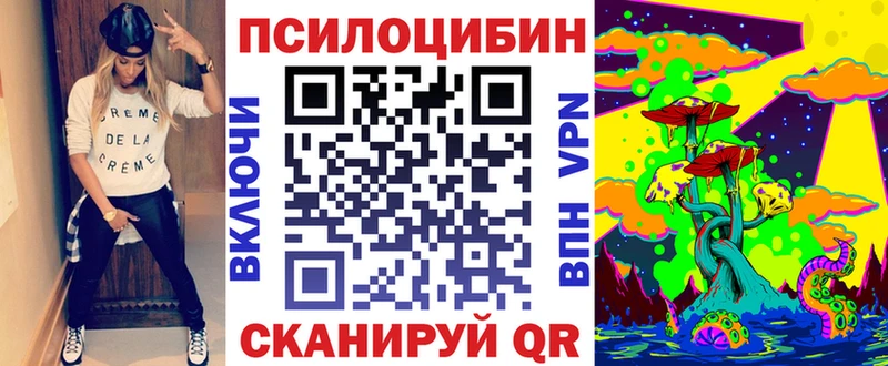 Псилоцибиновые грибы Psilocybine cubensis  Родники 